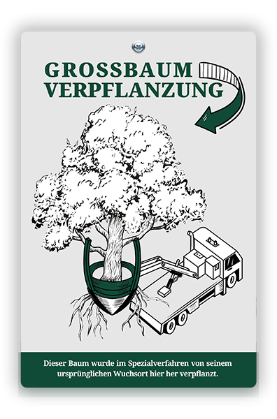 Schild Großbaumverpflanzung