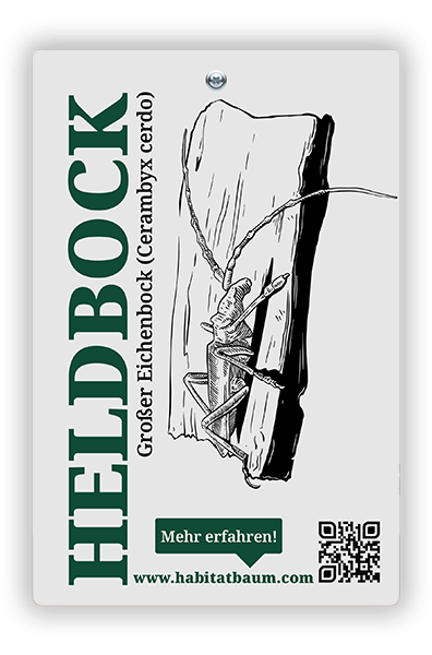 Schild Eichenheldbock